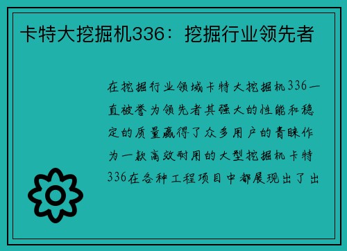 卡特大挖掘机336：挖掘行业领先者