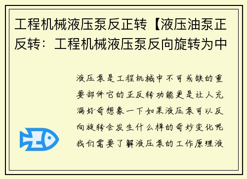 工程机械液压泵反正转【液压油泵正反转：工程机械液压泵反向旋转为中心】