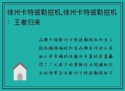 徐州卡特彼勒挖机,徐州卡特彼勒挖机：王者归来